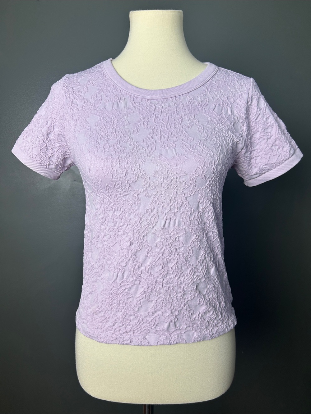 Olive & Oak Lavender Dream Textured Short Sleeve Tee L/XL